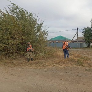  Покос травы в 10 округе