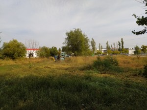В округе №16 произведен покос  травы на неучтенной городской территории