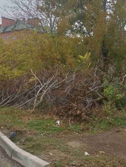 11 округ Осенний субботник