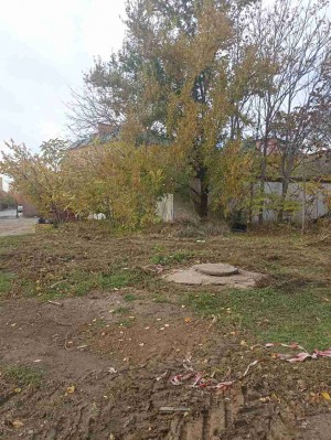 11 округ Осенний субботник