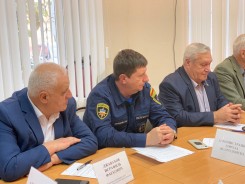 На Координационном совете Общественной палаты обсудили защиту населения при ЧС и медсанчасть РоАЭС
