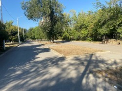 Округ 18. На Пешеходном бульваре спилили опасные деревья