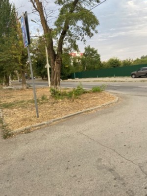 Округ 18. На улице Молодежной обрезали поросль деревьев