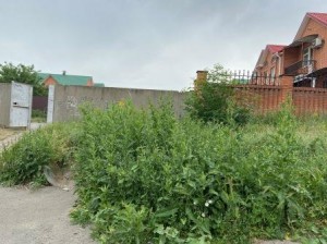 округ 18. Депутат городской Думы Сергей Ладанов обеспокоен покосом травы в округе