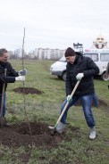 День древонасаждений в Волгодонске: 12 апреля высажено более 2500 саженцев деревьев и кустарников