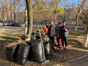 Осенний субботник в 8 округе