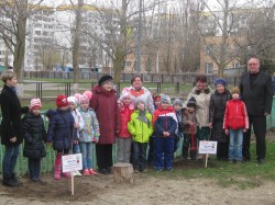 30 марта с избирательного округа №16 стартовала городская акция «Дерево Памяти»