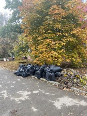 Округ 18. Открыт сезон осенних субботников