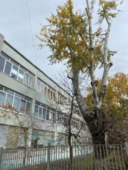 Округ 18. Помощь школе №13