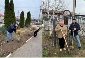 9 округ. Озеленение округа