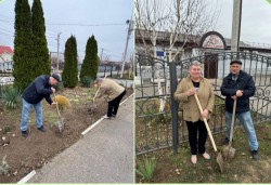 9 округ. Озеленение округа