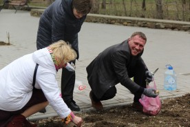 Сотни тюльпанов украсят аллеи парка Победы