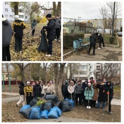 Округ №15. В микрорайоне «Звёздный» состоялся осенний субботник в рамках «Месячника чистоты».