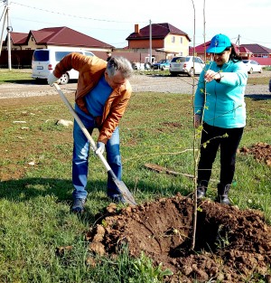 На улице Братской в округе №23 появилась новая аллея!