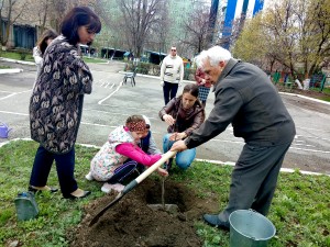 " ДЕРЕВО ПАМЯТИ" в 23 округе