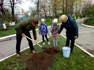 " ДЕРЕВО ПАМЯТИ" в 23 округе