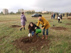 В День древонасаждения в Волгодонске высадили почти 3000 зеленых насаждений