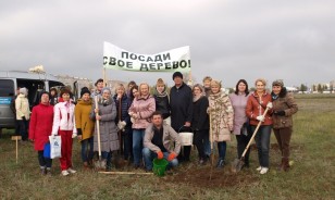 В День древонасаждения в Волгодонске высадили почти 3000 зеленых насаждений