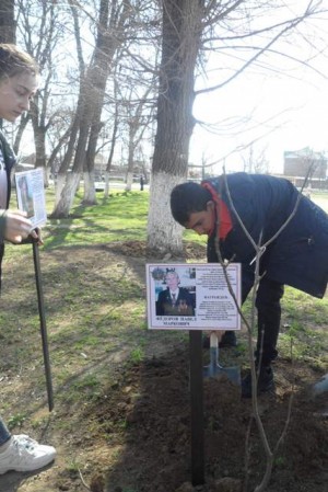 Дерево Памяти-2019.