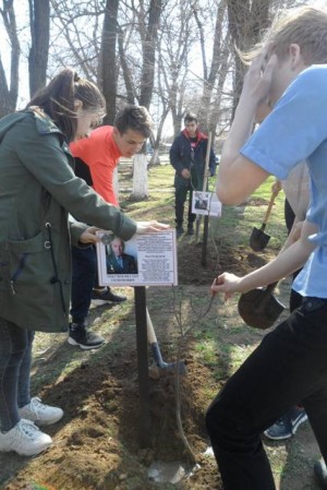 Дерево Памяти-2019.