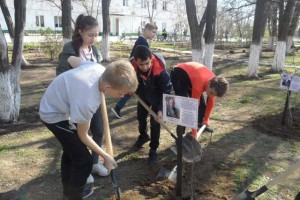 Дерево Памяти-2019.