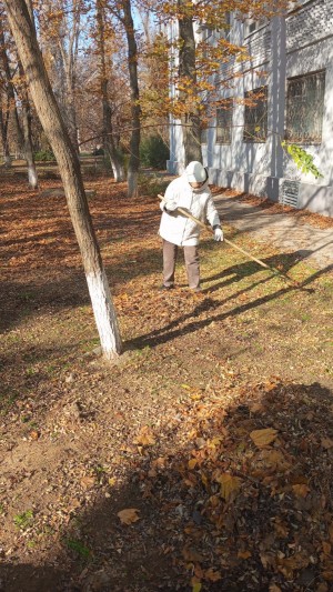 Округ 5 "Субботник"