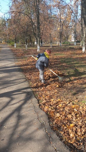 Округ 5 "Субботник"