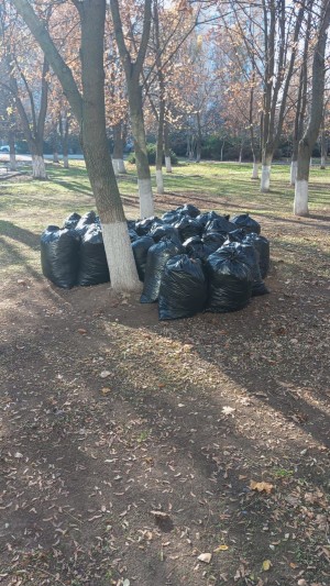 Округ 5 "Субботник"