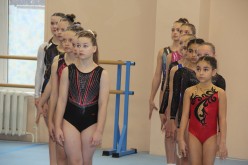 В Волгодонске стартовал областной турнир по спортивной гимнастике