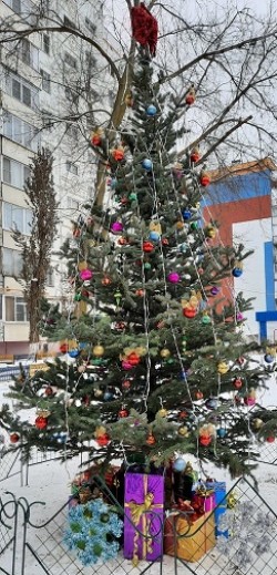 24 округ.  3 место в конкурсе «Лучшая Новогодняя ёлка» 