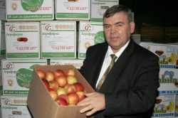 Депутат Александр Смольянинов: Ростовская область может производить до 40% российских овощей