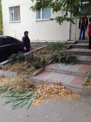 В микрорайоне "Звёздный", избирательного округа №15, прошёл осенний субботник