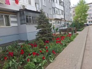 Лучшие дворы – больше, краше, современнее!