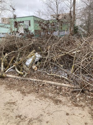 Жители округа №14 помогли в устранении последствий непогоды в Волгодонске 